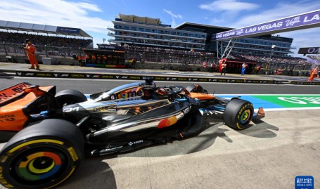 UFC拳击赛事战报排球球员榜专栏F1赛车伤病图集英超综合格斗数据统计